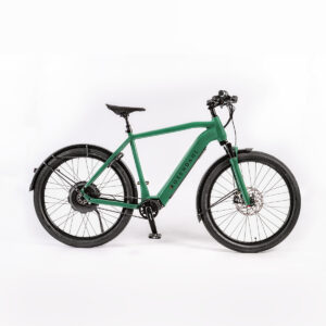 Rosendahl Bikes Herren Pedelec grün