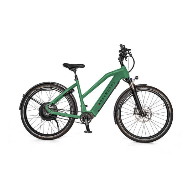 Rosendahl Bikes Pedelec grün